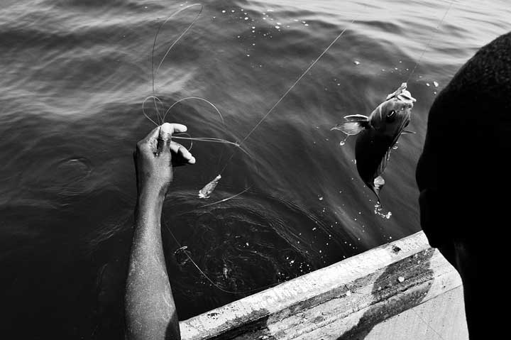 Pêche à la ligne au Sénégal